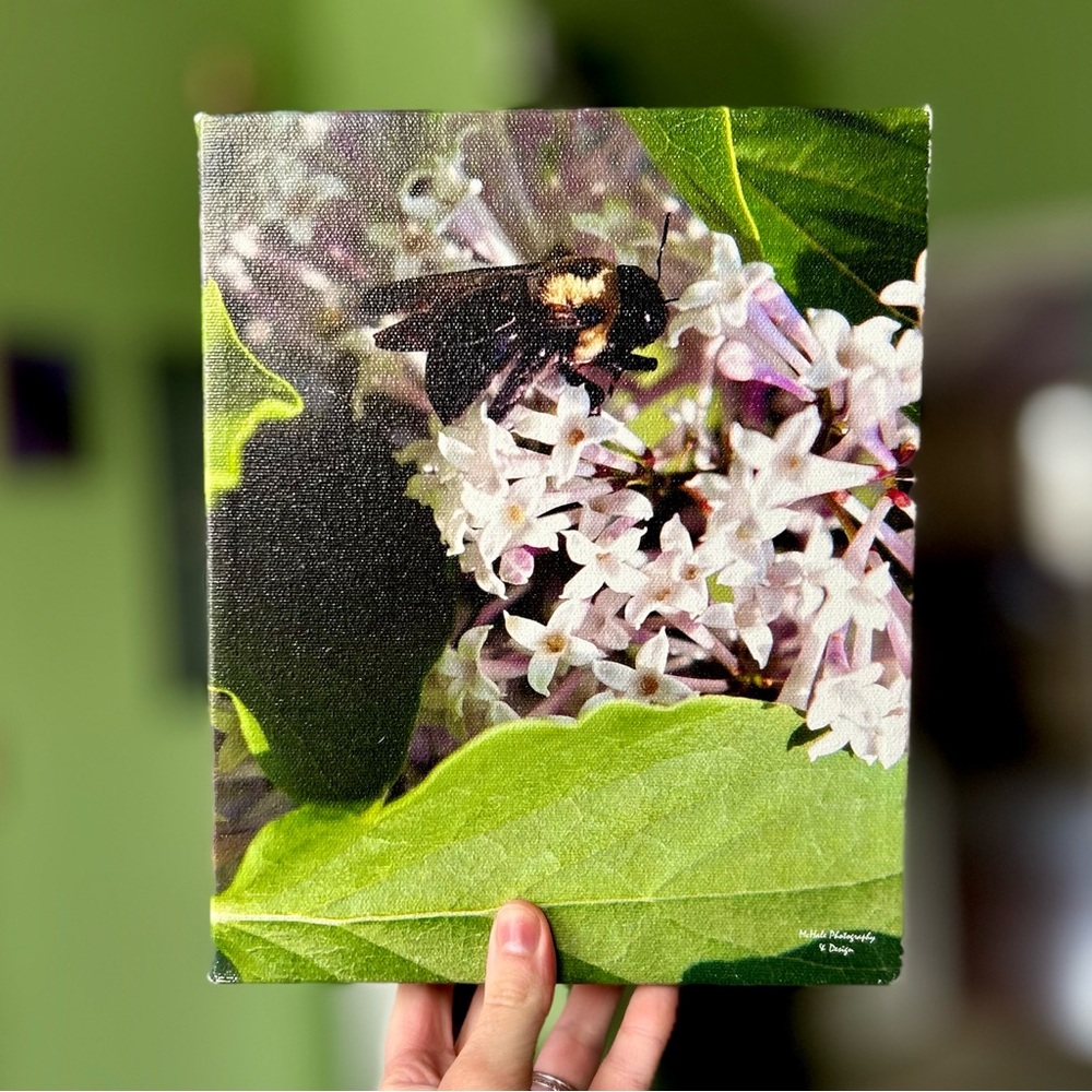 Charming Nature Whimsy Still Life Bee Wrapped Canvas Wall Decor Art